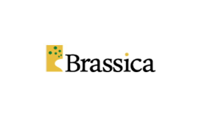 株式会社Brassica