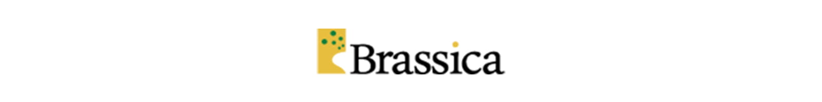 株式会社Brassica