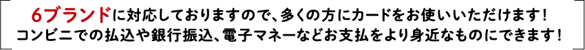 6ブランドに対応しておりますので、多くの方にカードをお使いいただけます!コンビニでの払込や銀行振込、電子マネーなどお支払をより身近なものにできます!